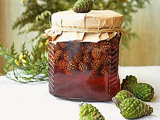 Pine Cone Jam with Honey